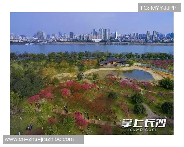 长春与长沙的文化碰撞与城市发展对比分析探讨